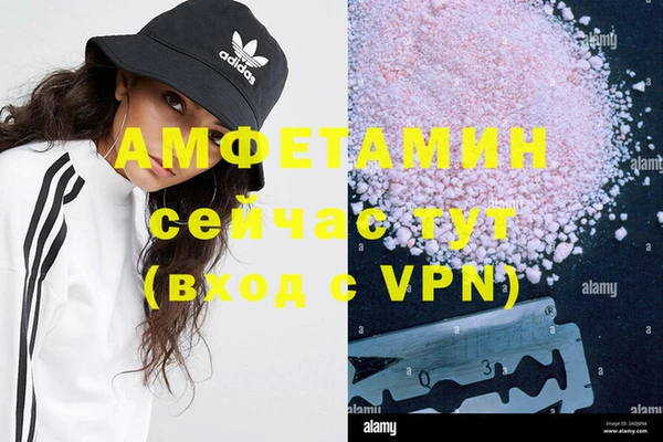 сатива Армянск