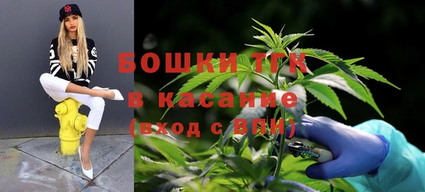крисы Балахна