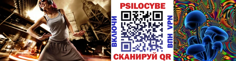 Галлюциногенные грибы Psilocybine cubensis  Родники 